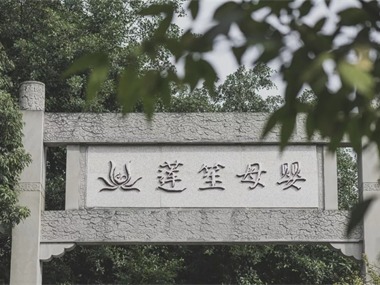 莲笙弥月 | 等风，等你，一切安好！